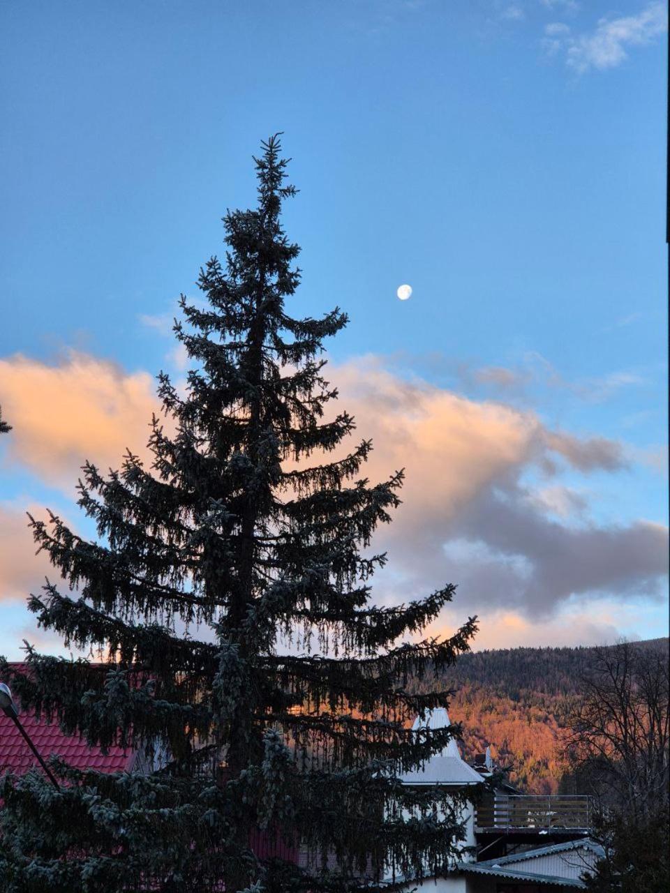 Готель "Yaro" Yaremche Exterior foto
